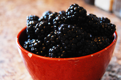 blackberries31