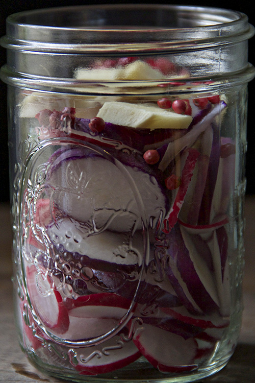 pickled radishes 7