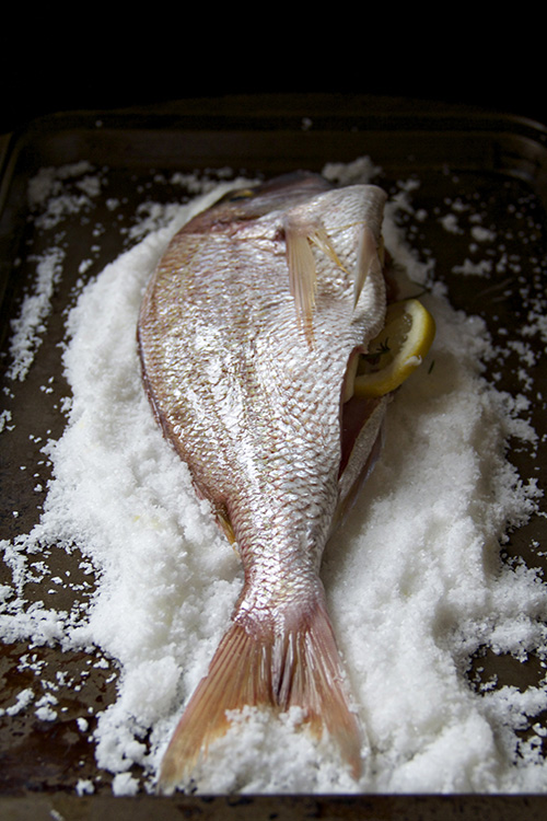 salt packed fish 7