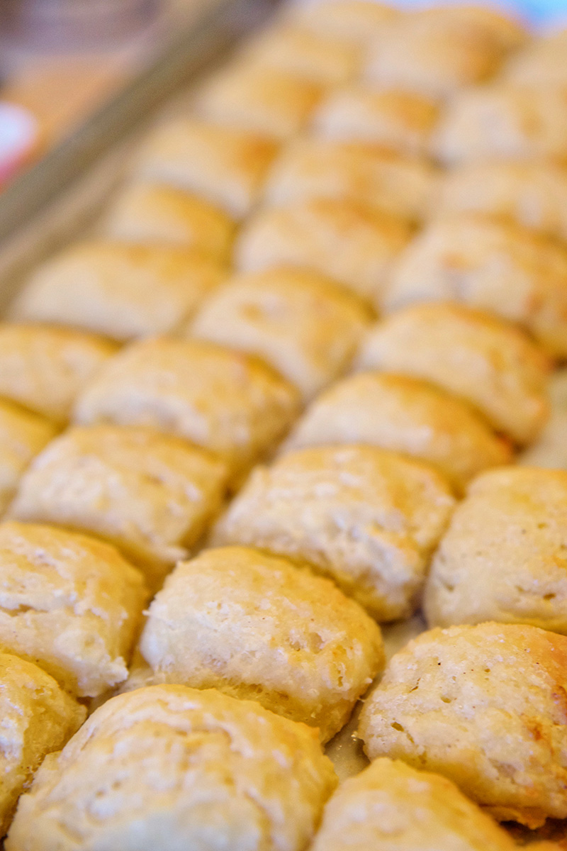 apricot biscuits 1